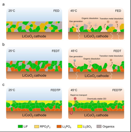 潘锋/杨卢奕团队在《国家科学评论》上报道调控电解液提升锂电池正极钴酸锂界面稳定性的研究进展